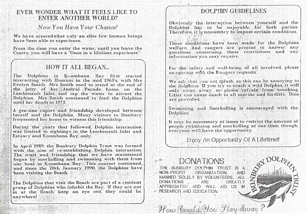 Bunbury Dolphin Beach