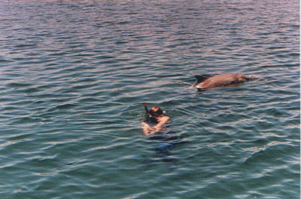 Bunbury Dolphin Beach