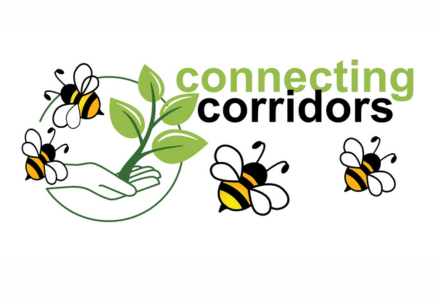 Connecting Corridors