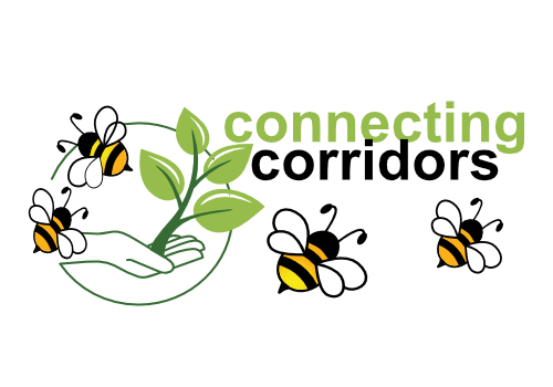 Connect Corridors