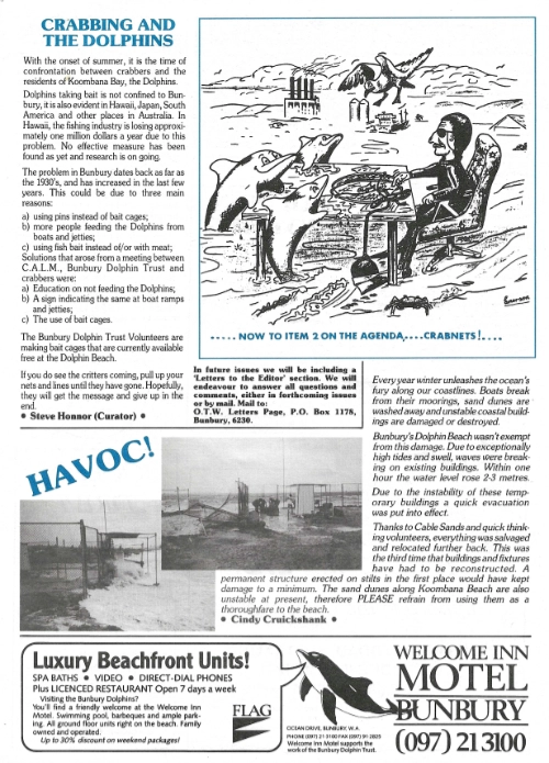 Dolphin Trust Newsletter